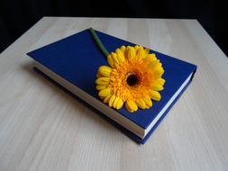 Flower on Book Read