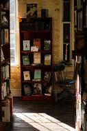 Colorful interior of the library, in the school, with the books, in light and shadow