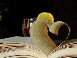 book with pages as a heart