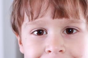 caucasian School Boy, Portrait
