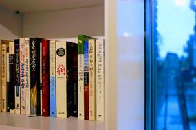 school literature books on the shelf