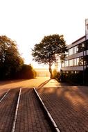 Schoolyard, among the trees, in the beautiful and colorful sunrise