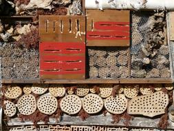 Hotel for Insect