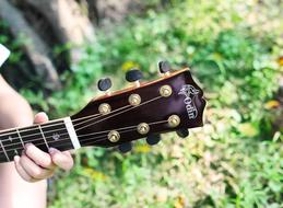 Guitar hand green grass