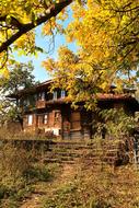 abandoned old school building among the trees