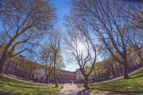 optical photo of the park in front of the building