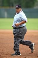 umpire on the playing field in a baseball