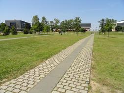 university building, stone path, green grass and trees in Wurzburg, Germany