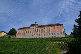 Colorful school, among the green plants in Meersburg, Germany