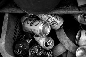 old empty Beer cans in trash bin
