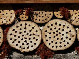 Insect house in stack of logs with Holes