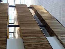 Beautiful, modern, brown wood texture with the lines, of different shades