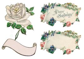 banner flowers rose drawing