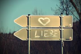 Beautiful road signs with the heart and "Love" sign, in light, near the trees