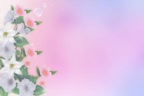 flowers bokeh decorative