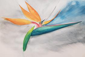 Watercolor Flower drawing