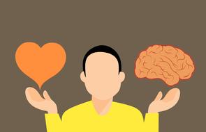 decision brain heart mind drawing