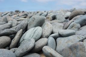 macro photo of a large round pebble