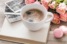 Rose Pink and coffe