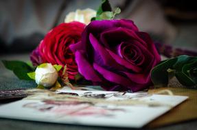 wedding invitation and bouquet of roses