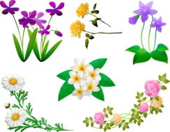 isolated digital flowers