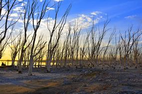 Epecuen Buenos Aires