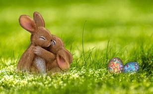 Easter Bunny Egg poster drawing with the grass