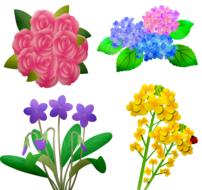 flowers for mom hydrangea drawing