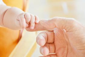 gentle Hand Infant