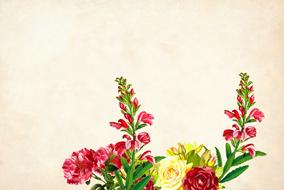 red flowers as background