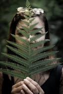 photo portrait of a girl behind a fern leaf