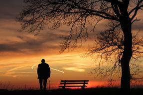 Sunset Tree Silhouette man