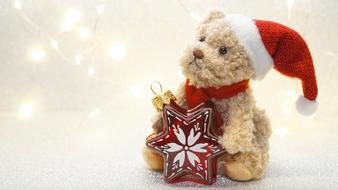 Christmas Advent Teddy bear