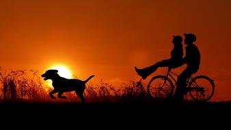 couple on a bicycle and a dog on the field against the background of an orange sunset