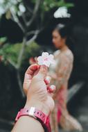 pink bud in hand and a girl in a blooming garden