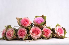 Crepe Flower Paper