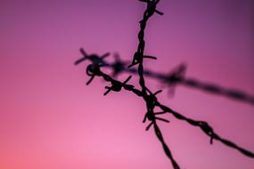 barbed wire on a background of purple sky