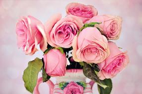 Close-up of the beautiful, pink and orange roses with green leaves in the vase, at background with bokeh lights