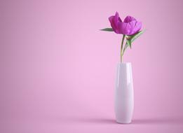 purple Flower in Vase