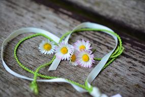 Daisy Heart Romance