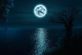 trees neon moon lake