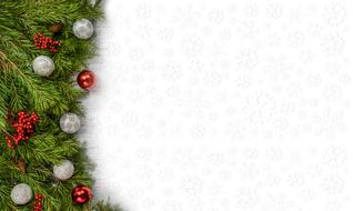 Christmas background with pine branches