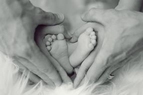 baby feet in parent's hands