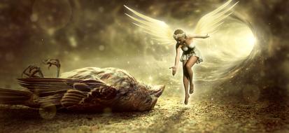 Fantasy digital art, dead Bird and fairy