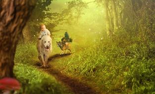 a child on a dog in a fairy forest