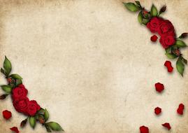 tiny red roses and petals, vintage frame