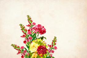 bouquet of garden flowers on a pink blank