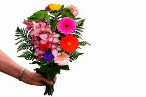 Bouquet of the colorful flowers at white background