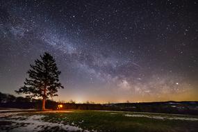 tree on a winter field against the background of the Milky Way