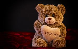 gentle Teddy Soft Toy